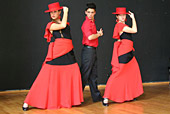 Pasión Flamenca